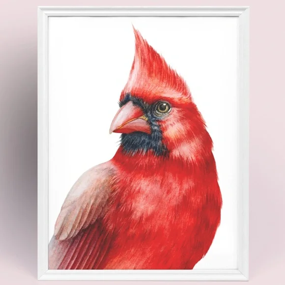 Cardinal Bird Watercolor Wall Art Print Poster Illustration Unframed - Picture 6 of 8